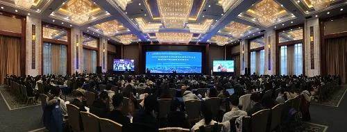 Top 网上赌博网站大全