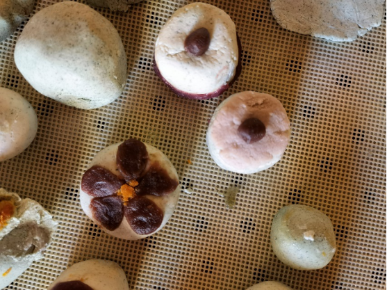 Top 网上赌博网站大全