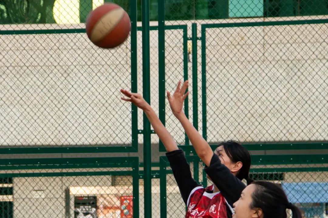 Top 网上赌博网站大全