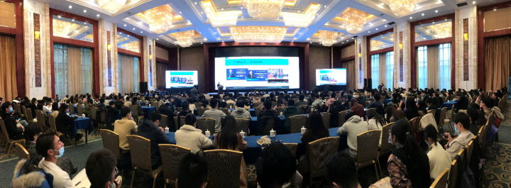 Top 网上赌博网站大全