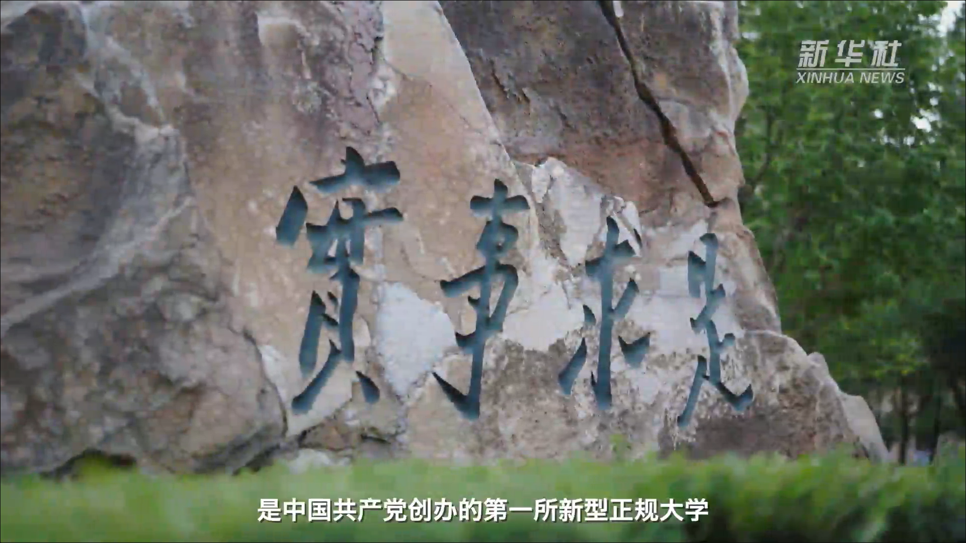 Top 网上赌博网站大全